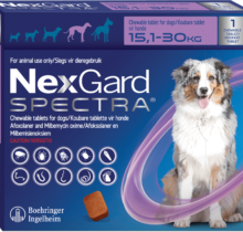 NexGard Spectra L Morada
