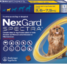 NexGard Spectra S Amarilla