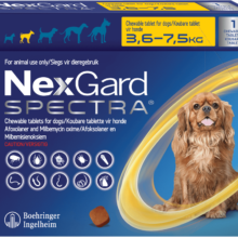 NexGard Spectra S Amarilla