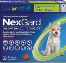 NexGard Spectra M Verde