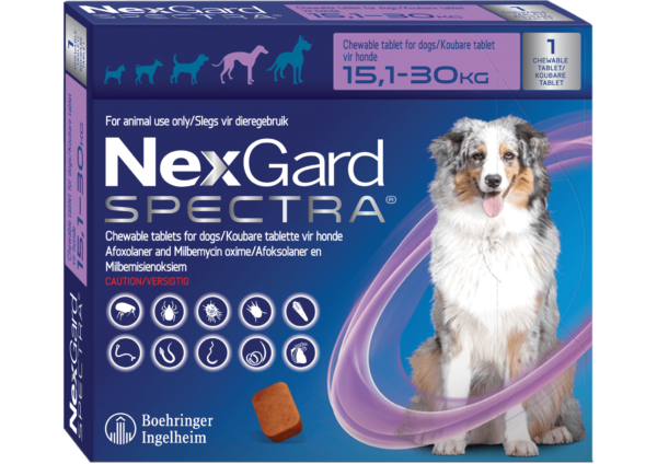 NexGard Spectra L Morada