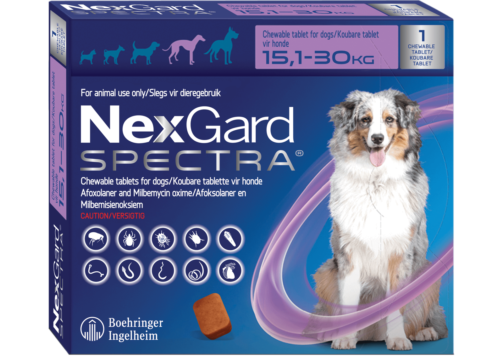 NexGard Spectra L Morada