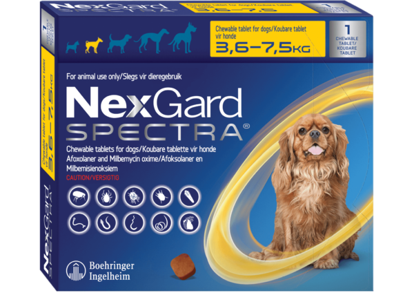 NexGard Spectra S Amarilla