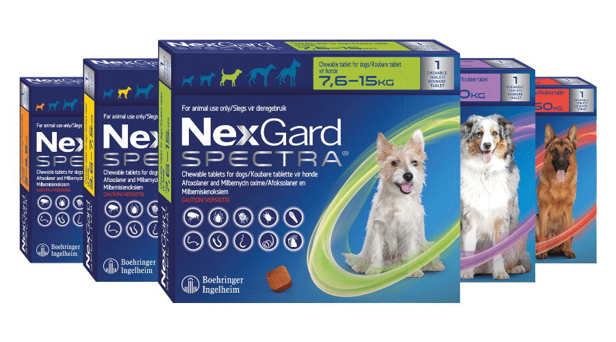 Groom Luxury Vet NexGard al mejor precio