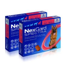 NexGard Spectra XL Roja