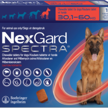 NexGard Spectra XL Roja